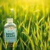 barley grass supplement