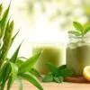 barley greens health benefits