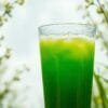 organic barley grass juice