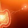 How gut health affects skin health