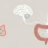 Which probiotic is best for mental health?