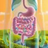 best probiotics for constipation and weight loss