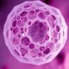 probiotic for colon cancer patients