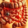 probiotics for gas bloating and constipation