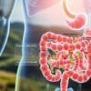 what are 3 health benefits of probiotics