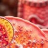 why gut bacteria is important