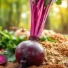 Beetroot good for post-menopause women