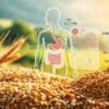 Dietary fiber for digestion