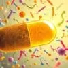 Difference between probiotics and enzymes