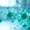 Improve digestion with enzymes