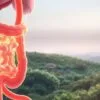 Probiotics for improving gut health after food poisoning