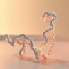 Beta-c for DNA repair
