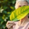 Beta-c for seniors