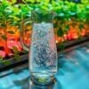 Hydrogen water for radiant skin