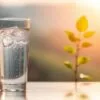 hydrogen water and diabetes