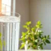 removing free radicals with hydrogen water