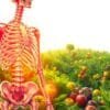 vitamin c benefits bones