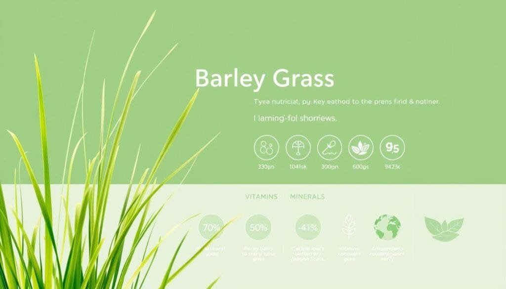 A detailed infographic depicting the nutritional profile of vibrant, lush barley grass. The foreground showcases the grass itself, with its slender, verdant blades and delicate, feathery texture. The middle ground highlights a selection of key nutrients found in barley grass, such as vitamins, minerals, and antioxidants, presented in an elegant, data-driven layout. The background features a clean, minimalist design with soft, muted tones to accentuate the natural, wholesome qualities of the subject. The overall composition is sharp, well-lit, and captures the essence of barley grass's nutritional benefits through a visually compelling and informative illustration.