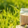 Barley Grass for High Blood Pressure: What Malaysians Need to Know