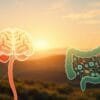 How do probiotics help mental health?