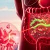 How do you get good bacteria while on antibiotics?