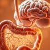 How gut bacteria affects mental health?