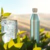 Hydrogen Water Bottle vs. Dispenser: Which Is Better for Malaysian Homes?