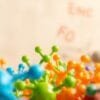 How to choose the right enzyme fiber