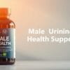 Probiotic for male urinary health