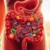 What are the symptoms of lack of probiotics?