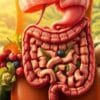 fiber supplement carnivore diet