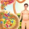 probiotics causing gas—how to fix