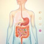 why do you need probiotics
