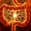 Decision-making gut support
