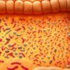 Does fiber change gut bacteria?