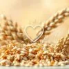 Does fiber lower cholesterol?