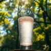Does hydrogen water help immune system?