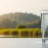 Is hydrogen good for CKD?