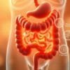 What organ benefits from fiber?