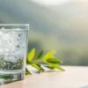 Hydrogen water and alcohol detoxification