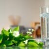 What Are the Hydrogen Water Health Benefits?