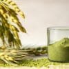 Barley green superfood