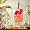 Can probiotics help prevent gallstones