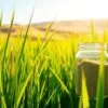 barley grass supplement