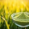 green barley powder benefits