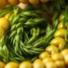 BarleyGreen supplement for digestion