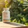 Probiotic for travel gut health