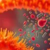 Repair your gut lining with probiotic