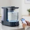 Clinical-grade hydrogen water systems